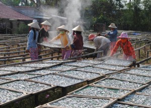 duy hai fishing village