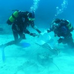 Scuba diving in Cham island